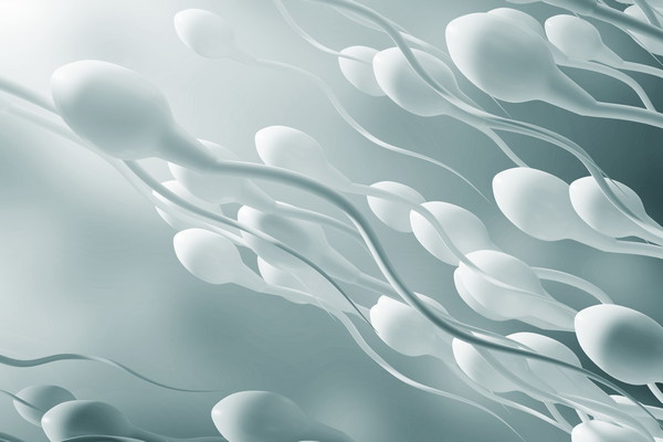 Анализ спермы - норма и интерпретация результатов